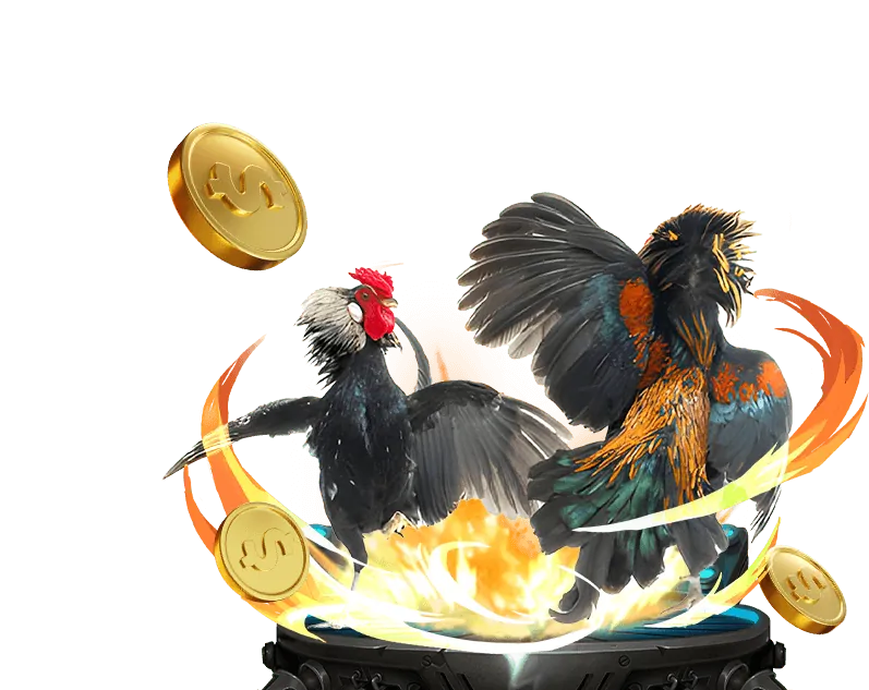 Hỗ trợ khách hàng ju88